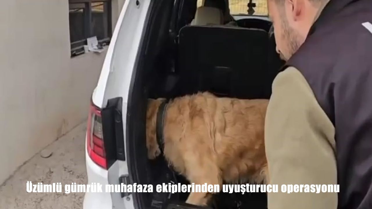 Üzümlü gümrük muhafaza ekiplerinden uyuşturucu operasyonu