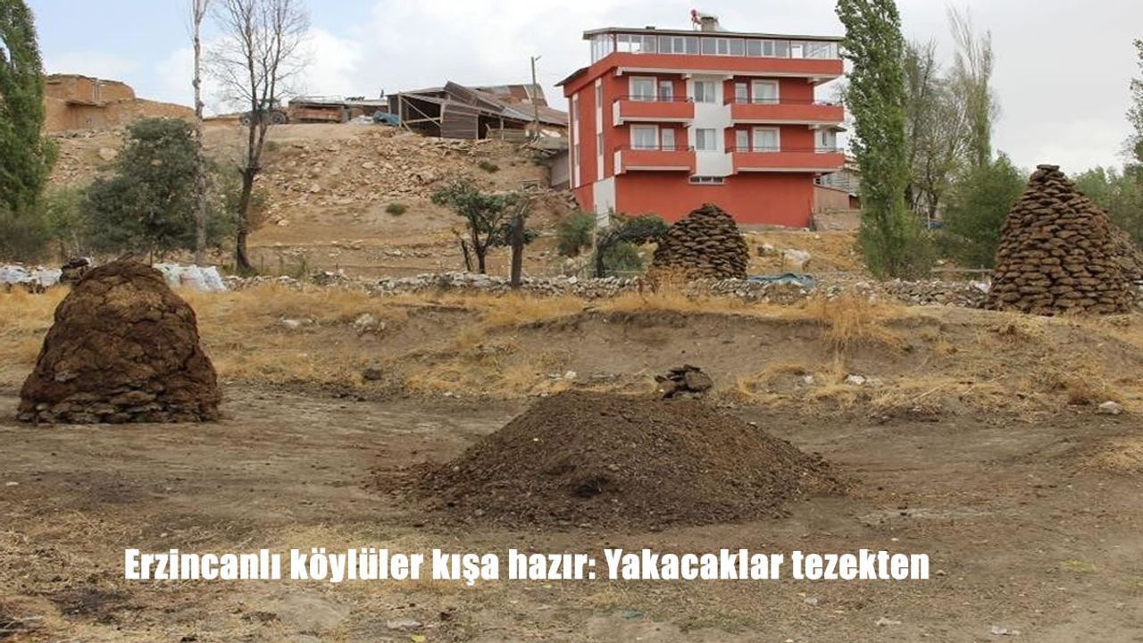Erzincanlı köylüler kışa hazır: Yakacaklar tezekten