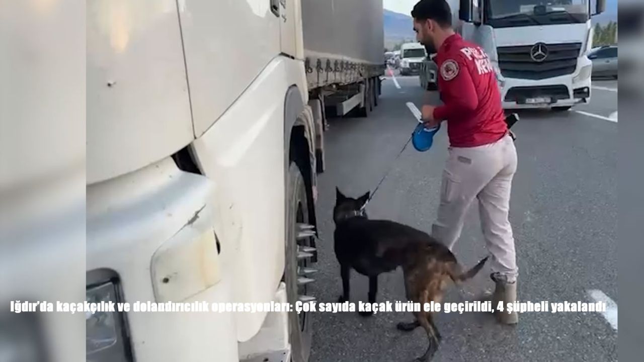 Iğdır’da kaçakçılık ve dolandırıcılık operasyonları