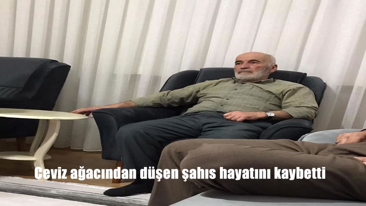Ceviz ağacından düşen şahıs hayatını kaybetti