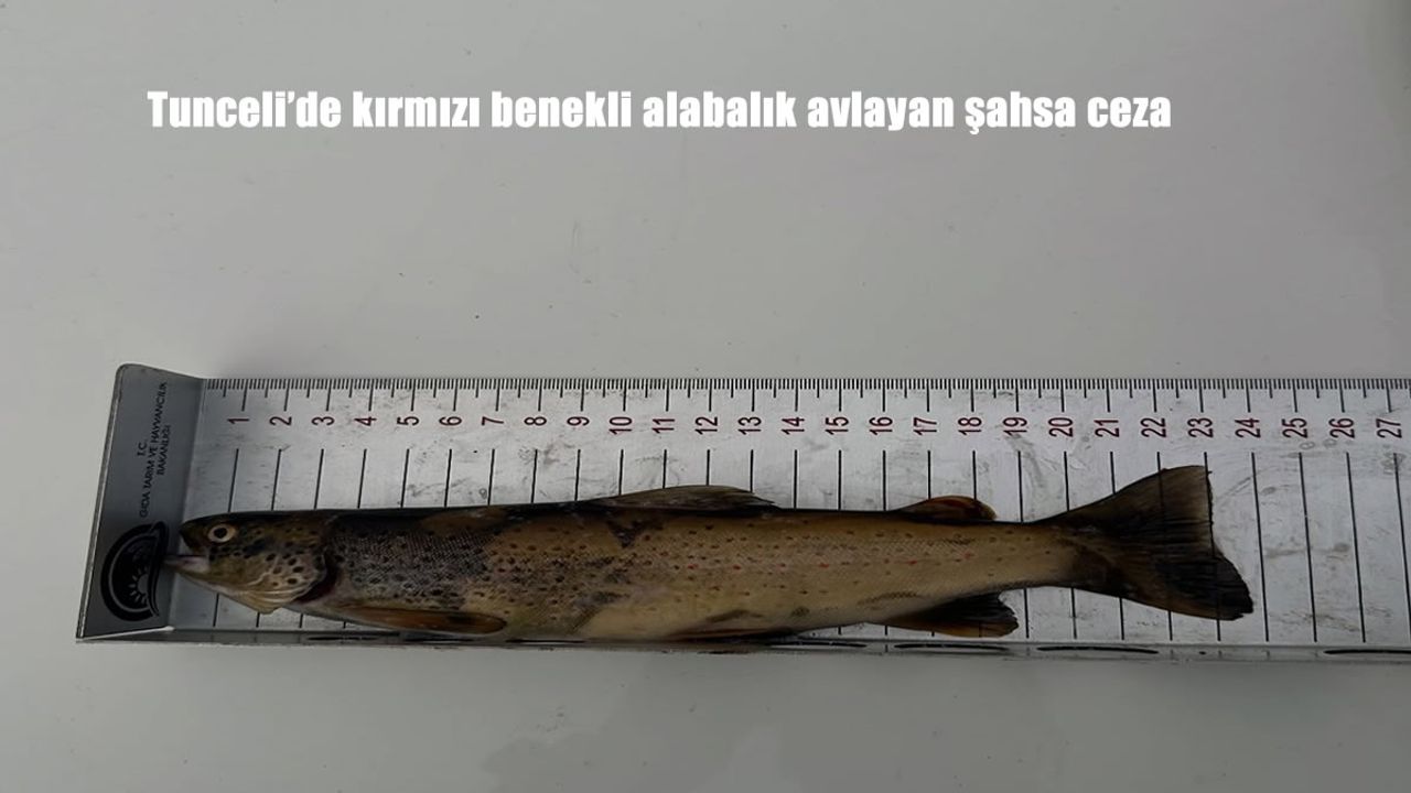 Tunceli’de kırmızı benekli alabalık avlayan şahsa ceza
