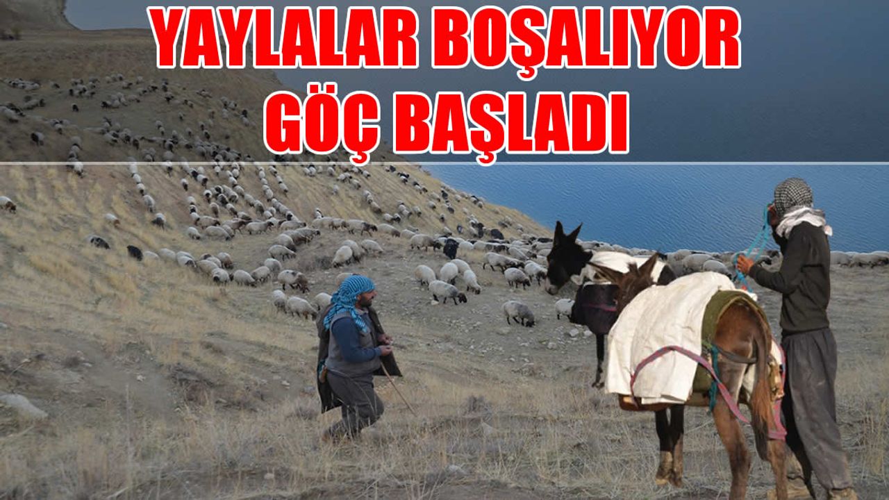 Göçerlerin yaylalardan dönüş yolculuğu sürüyor