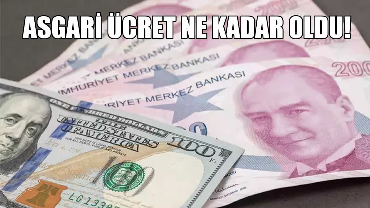 2026 Asgari Ücret Ne Kadar Olacak?