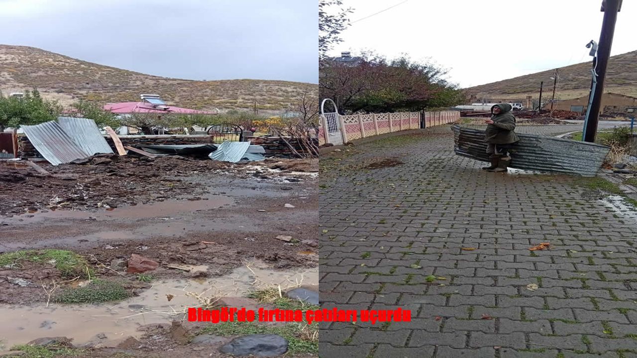Bingöl’de Fırtına Çatılara ve Ağaçlara Zarar Verdi