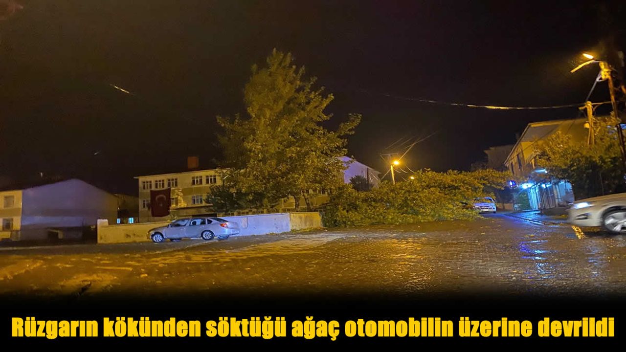 Bitlis’te Şiddetli Rüzgar Kökten Söktü, Ağaç Park Halindeki Aracın Üzerine Devrildi