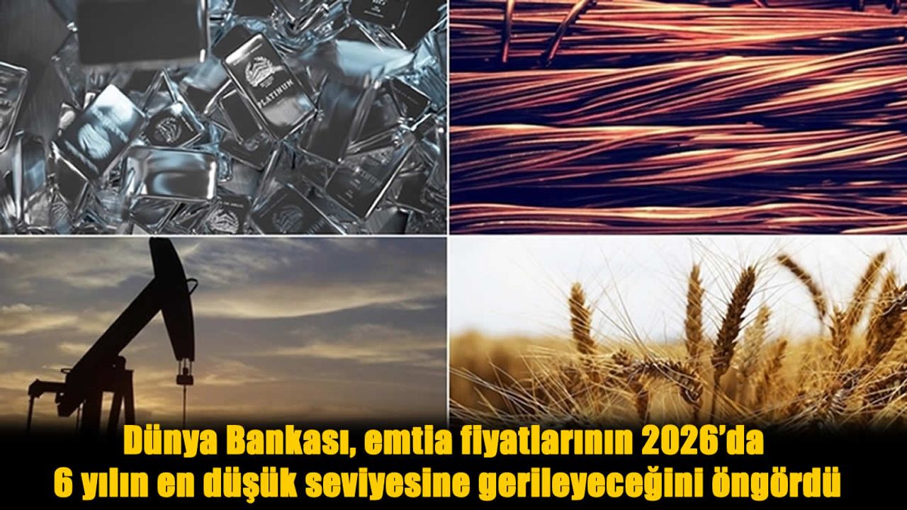 Küresel Emtia Krizi Kapıda: Fiyatlar 2026’da Dibe Vuracak