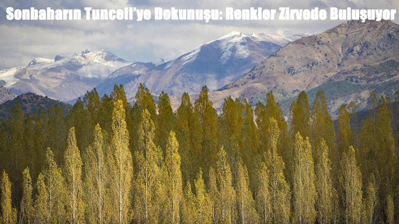 Tunceli'nin Zirveleri Sonbaharla Bir Başka Güzel: Ormanlar Renk Cümbüşüne Büründü