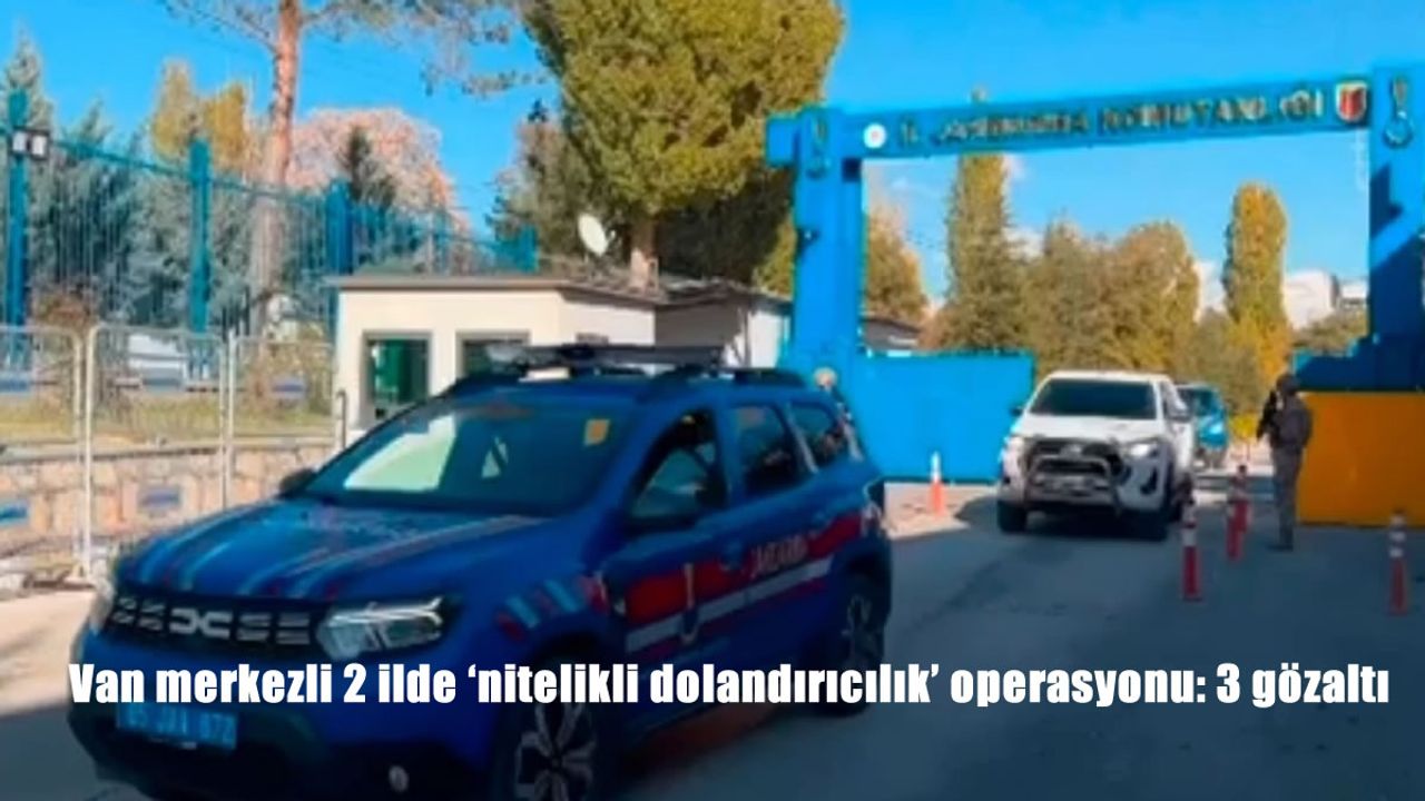 Van merkezli 2 ilde 'nitelikli dolandırıcılık' operasyonu: 3 gözaltı
