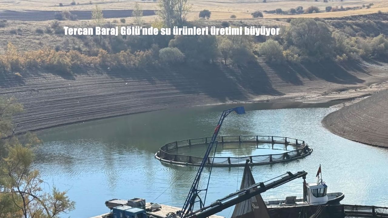 Tercan Baraj Gölü’nde su ürünleri üretimi büyüyor