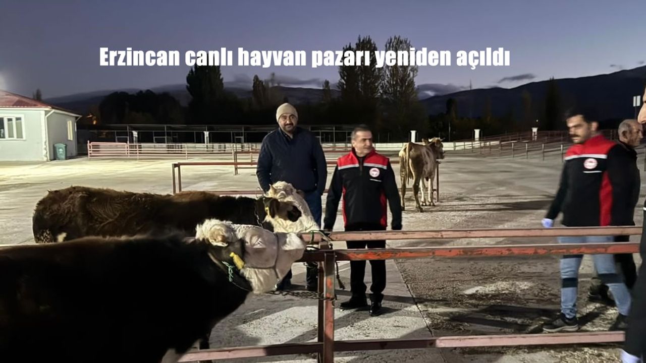 Erzincan canlı hayvan pazarı yeniden açıldı