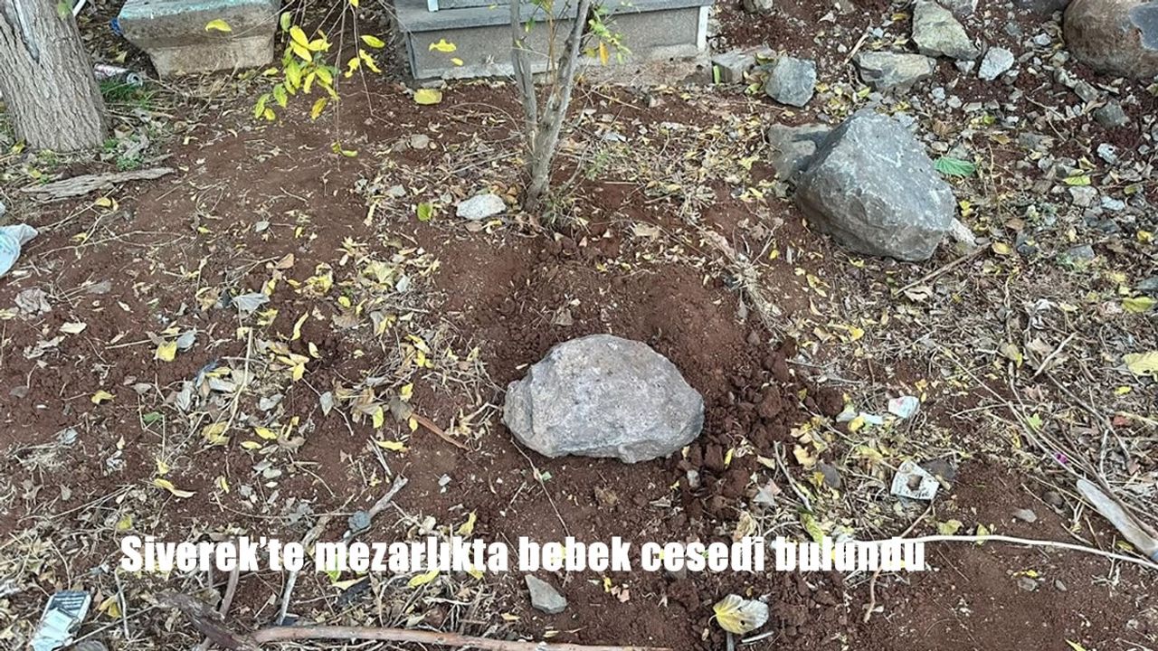 Siverek’te mezarlıkta bebek cesedi bulundu
