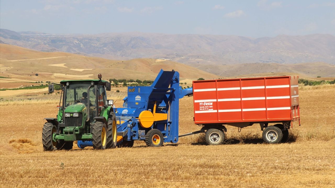Elazığ'da kimyasal gübre yerine bakteri kullanan üreticiler mercimekte verimi artırdı