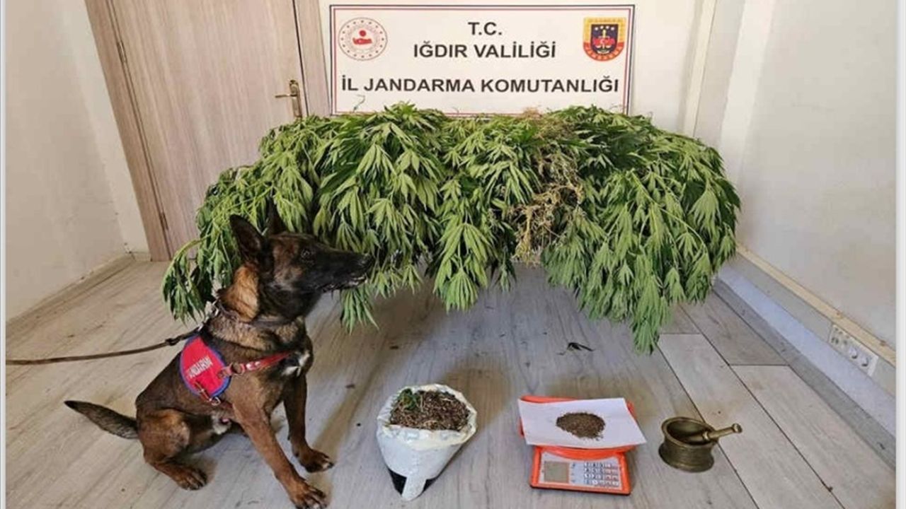 Iğdır'da uyuşturucu ticareti yaptıkları iddiasıyla 2 şüpheli yakalandı