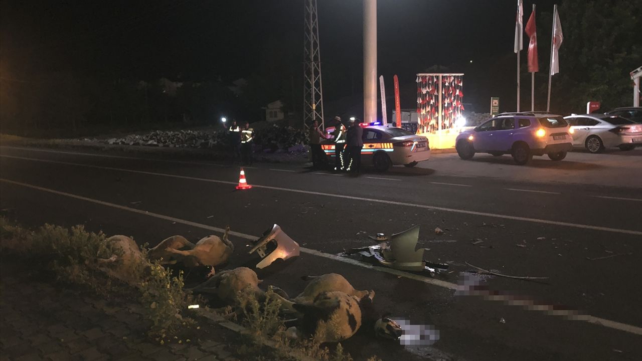 Kars'ta otomobilin çarptığı sürü sahibi öldü, 6 koyun telef oldu