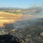 Bingöl’de arazi yangını ekiplerin müdahalesiyle söndürüldü