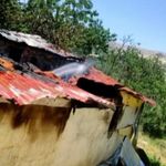 Malatya'da tavuk çiftliğinde yangın: Bin 650 tavuk telef oldu
