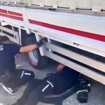 Teker arasına giren kedi ekipler tarafından çıkartıldı