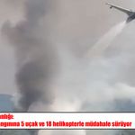 Muğla’da orman yangını büyüyor: Seydikemer Devlet Hastanesi tahliye ediliyor