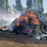 Kars’ta bin ot balyası kül oldu