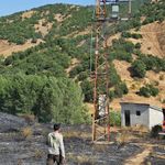 Bingöl’de kırsal alanda çıkan yangın söndürüldü