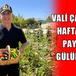 Muş Valisi Çakır’dan renkli paylaşım: “Muş güveci için malzemeler hazır”