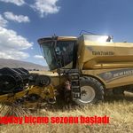 Ağrı’da buğday biçme sezonu başladı