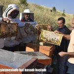 Bitlis’te bal hasadı başladı: Üniversitenin arı işletmesi 200 kovana ulaştı