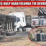 Muş-Kulp kara yolunda TIR devrildi: 1 yaralı