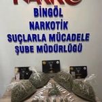 Bingöl’de 43 şüpheli yakalandı
