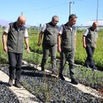 Erzincan Fidanlık Şefliğinde fidan üretim çalışmaları incelendi