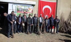Erciş'te meyve fidanı dağıtıldı
