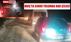 Muş yolunda sınav yolculuğu kâbusa döndü: 8 araç fırtınada mahsur kaldı