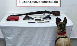 Erzurum’da kaçak silah operasyonu: Bomba arama köpeği yazı bir kez daha iz peşinde!