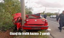 Elazığ’da Trafik Kazası: Elektrik Direğine Çarpan Araçta 2 Yaralı