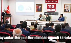 Erzurum’da Hayvanları Koruma Kurulu’ndan Sokak Hayvanları İçin Yeni Düzenlemeler