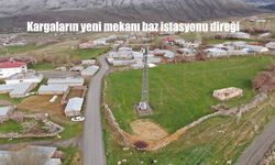 Van Muradiye’de Kargalar Baz İstasyonu Direğinde Yuva Kurdu