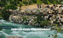 Zorlu Coğrafyada Yaşam: Avaşin Deresi’nde Asma Köprüden Koyun Sürüsünün Etkileyici Geçişi