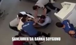 Viranşehir Ziraat Bankası’nda Gerilim Dolu Anlar: Bıçak Çeken Şahıs Banka Müdürünü Tehdit Etti