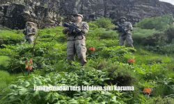 Hakkari’de Ters Lalelere Sıkı Koruma: 577 Bin TL Ceza Uygulaması