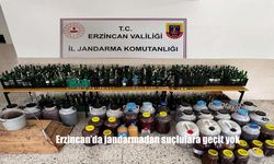 Erzincan’da Nisan Ayında Suçlulara Göz Açtırılmadı: Jandarma 141 Vakanın Yüzde 99’unu Aydınlattı