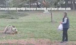 Çemşit Adını Verdiği Bozayıyı Besleyen Erzincanlı Sağlık Çalışanının İlginç Anları