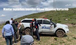 Tunceli’de Mantar Toplarken Kayadan Düşen Vatandaş Kurtarıldı