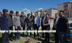 Tutak'ta "Orman Benim" Etkinliği Gerçekleştirildi: Orman Temizliği ve Fidan Dikimi