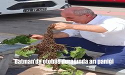 Batman’da Otobüs Durağında Arı Sürüsü Paniği: Vatandaşlar Korkuyla Uzaklaştı