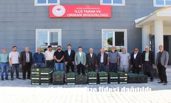 Bingöl'de Sebze Üretimine Yeni Destek Hamlesi