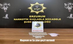 Erzurum Emniyet Müdürlüğü’nün Narkotik Köpekleri Magnum ve Su’dan Başarılı Operasyon