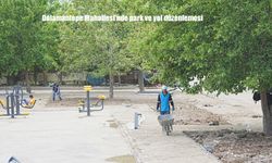 Battalgazi Belediyesi’nden Dolamantepe Mahallesi’ne Modern Dokunuşlar: Park ve Yol Düzenlemeleri Hızla İlerliyor
