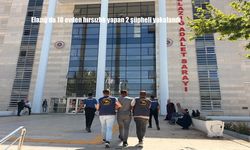 Elazığ’da 10 Evden Hırsızlık Yapan 2 Kişi Jandarma Tarafından Yakalandı