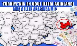 Türkiye’nin en ucuz şehirleri açıklandı: Peki Muş listede mi?