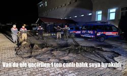 Van Muradiye’de Balıkçılık Denetimlerinde 1 Ton Canlı İnci Kefali Ele Geçirildi
